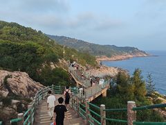 -广东惠东海龟国家级自然保护区