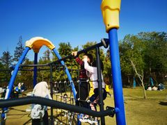 -上海长兴岛郊野公园