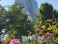 -金鸡湖景区