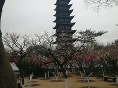 -上海方塔园