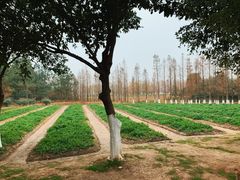 景点-艾溪湖湿地公园