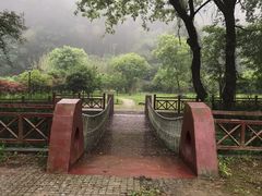 -素山寺森林公园