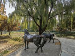 -元大都城垣遗址公园