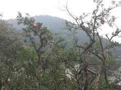 -秦始皇帝陵博物院-丽山园
