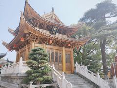 -上海东林寺(金山区)