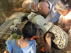 -佰园全日西餐厅-厦门佰翔软件园酒店