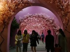 -胡桃里音乐酒馆(环亚凯瑟琳广场店)