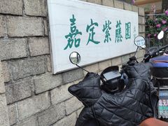 -嘉定紫藤园