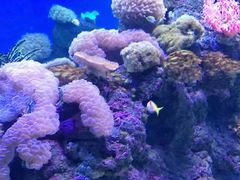 -成都浩海立方海洋公园