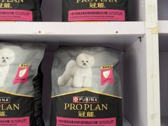 -宠颐生宠物医院外科·内科·皮肤科·影像科(石龙店)