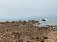 -青岛第二海水浴场