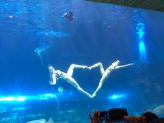 -华夏文旅海洋公园