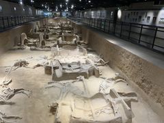 -洛阳周王城天子驾六博物馆