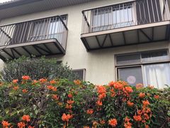 -厦门悦华酒店·绿庭主题自助餐厅
