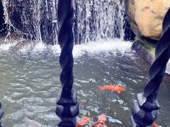 -上海浦东星河湾酒店