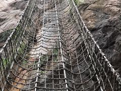 -天门沟九州驿站树上汤泉