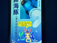 -海合安青岛极地海洋公园