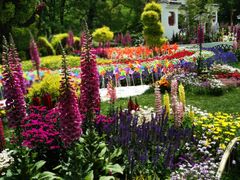 -上海共青森林公园