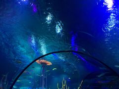 -沈阳海洋探索中心