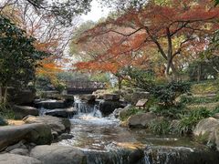 -中国茶叶博物馆(双峰馆区)