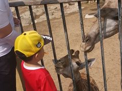 -大连森林动物园