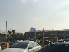 -顾村公园3号门停车场