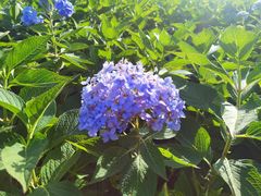 -昆嵛山石门里景区