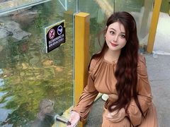 -灵玲国际马戏城