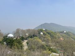 -紫金山天文台