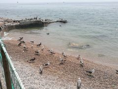 -海驴岛(荣成市)