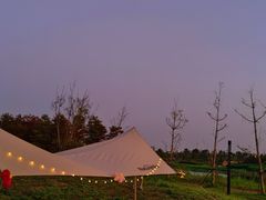 -春花秋色城市公园