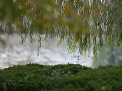 -苏州河梦清园环保主题公园