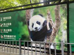 -成都大熊猫繁育研究基地