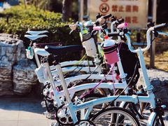 -北京国子监胡同