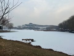 -河北省园博园