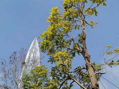 -深圳湾公园(南山区)