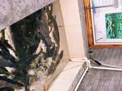 -铁锅炖灶台鱼老三炖鱼馆