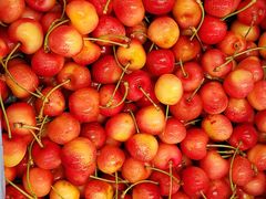 -西郊国际农产品交易中心