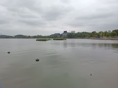 -岳阳市博物馆
