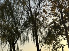 -汉长安城未央宫国家考古遗址公园