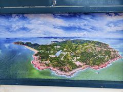 -广东惠东海龟国家级自然保护区