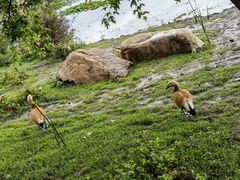 -长春市南湖公园