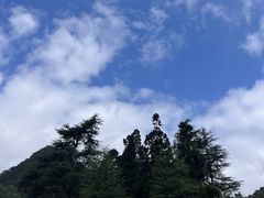-黔灵山公园