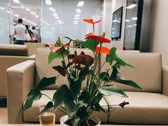-成都华星名仕奥迪4S店(龙潭寺店)