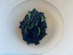 -码头餐厅