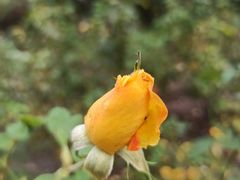 -共青国家森林公园-售票处