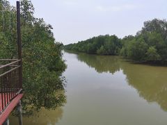 -崖口红树林海鲜餐厅