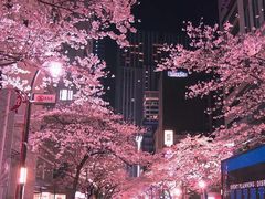 -优衣库(银座店)