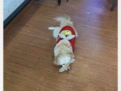-元氏钵仔糕(北京路店)