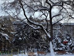 -人民防洪胜利纪念塔